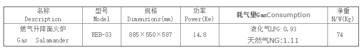 REB-03燃?xì)馍得婊馉t